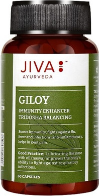 Giloy Ayurveda Nahrungsergänzungsmittel Kapseln