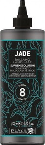 Conditioner Black Professional Line