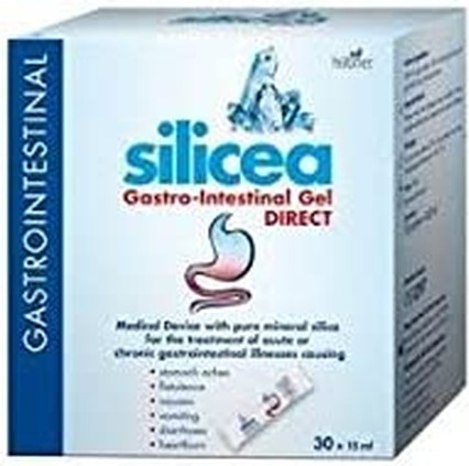 Silicea Magen-Darm Gel von Hübner