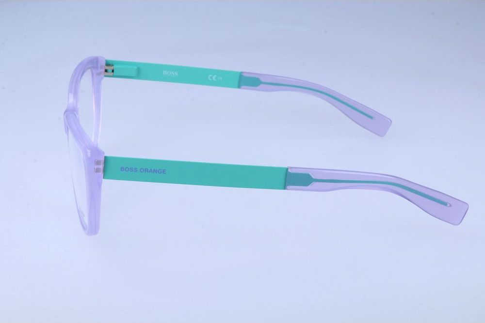Eyeglasses Hugo Boss Multicolor Acetate Glasses