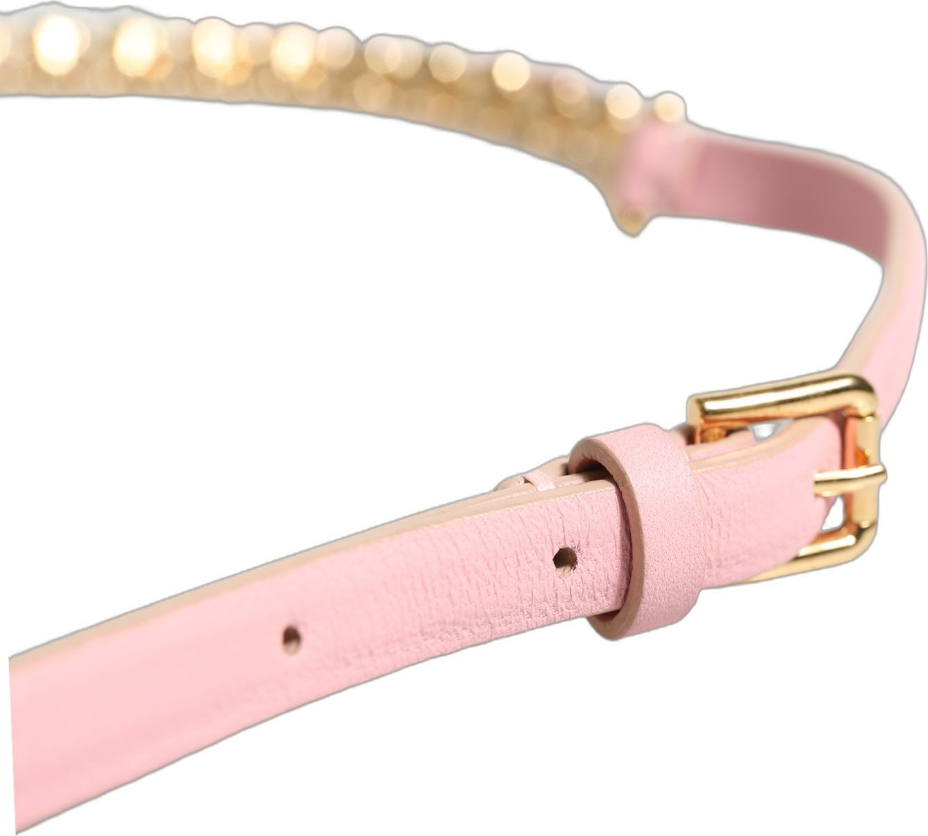 Fashion Belt Dolce & Gabbana