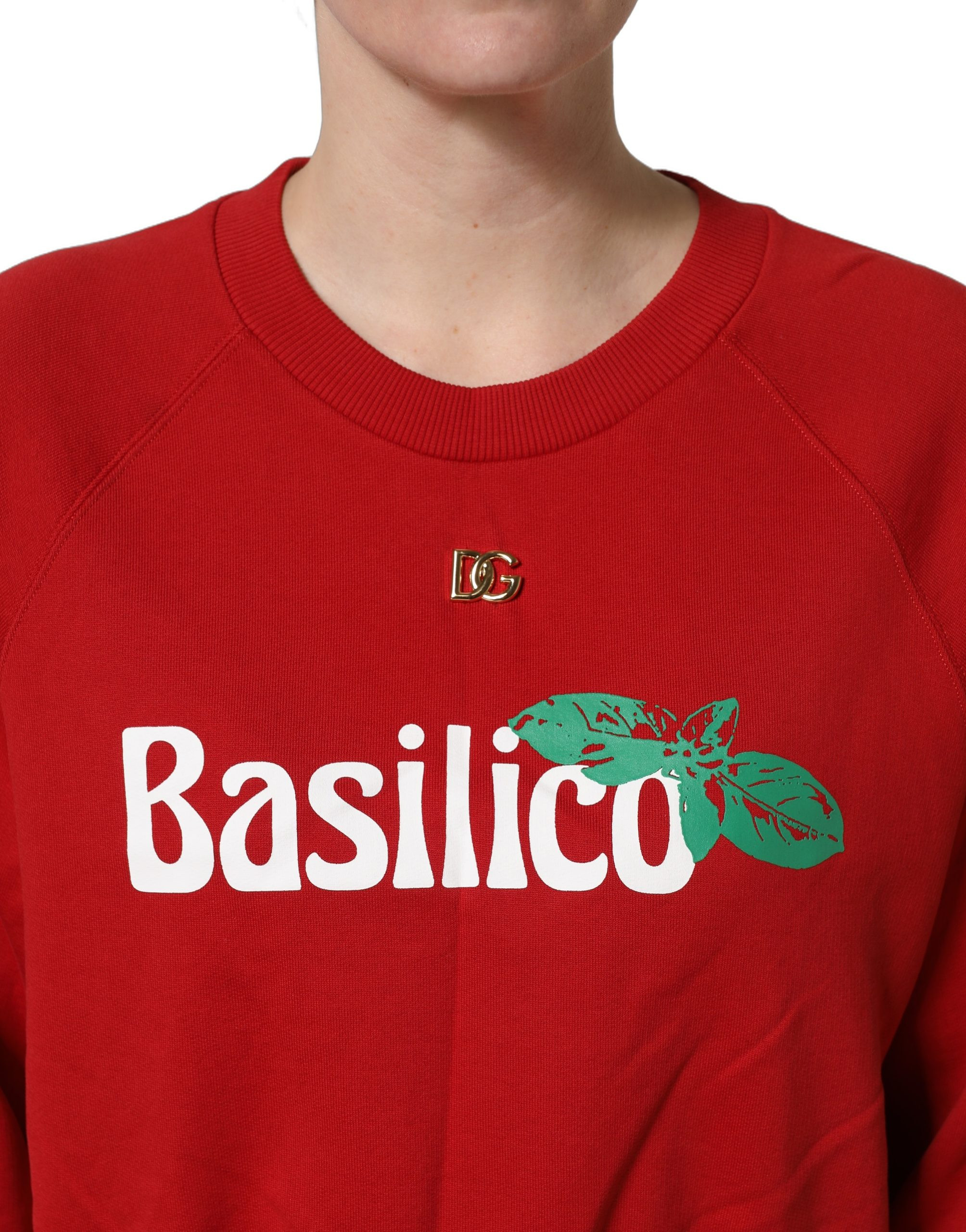Sweatshirt sweater Dolce & Gabbana Basilico