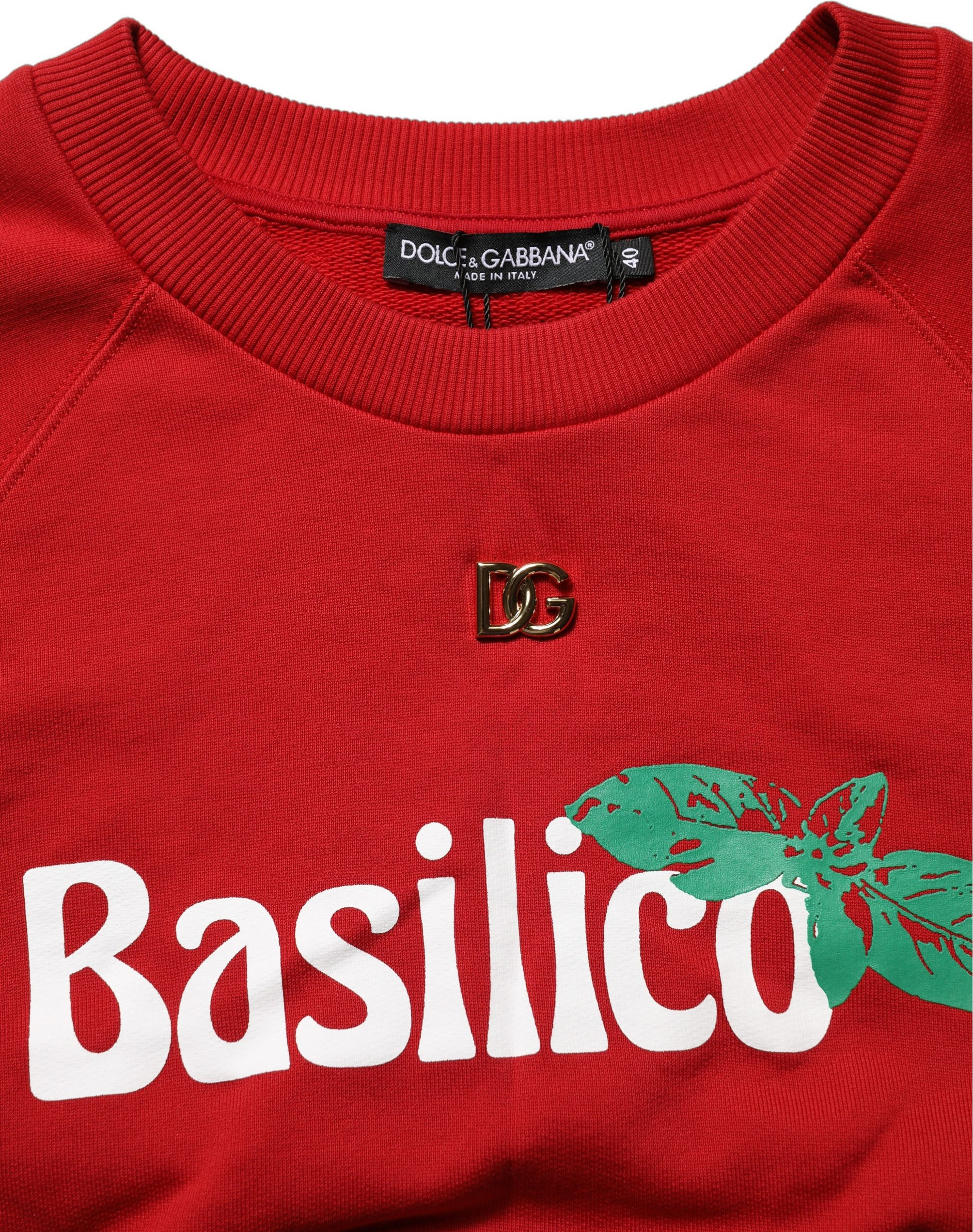 Sweatshirt sweater Dolce & Gabbana Basilico
