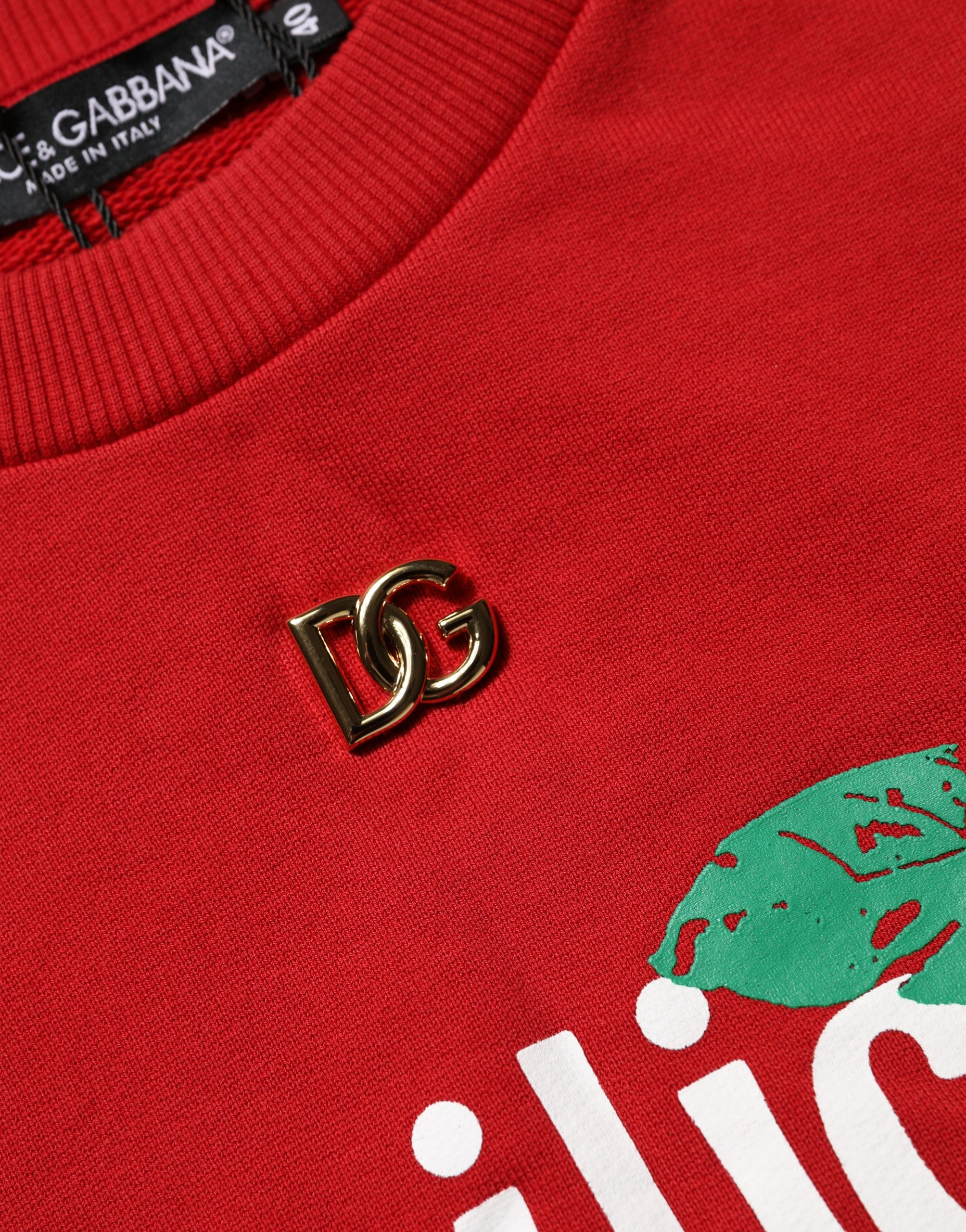 Sweatshirt sweater Dolce & Gabbana Basilico