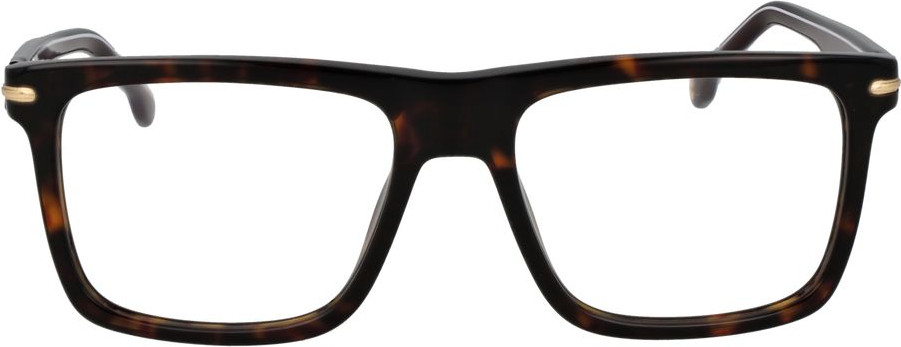 Glasses Carrera