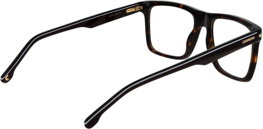 Glasses Carrera