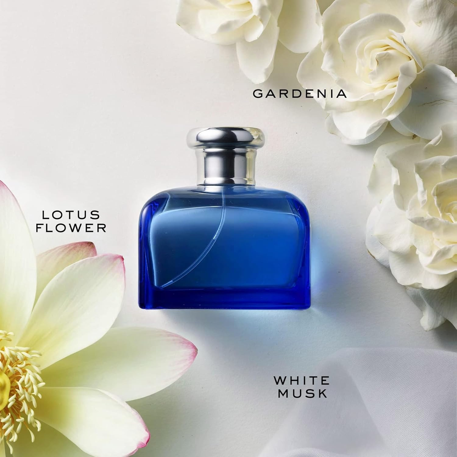 Eau de Toilette Ralph Lauren Ralph Lauren Blue