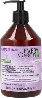 Farbiges Haarshampoo Dikson Every Green 500 ml