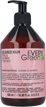 Färbeshampoo Dikson Every Green