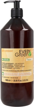Shampoo Dikson Every Green Anti Oxidant