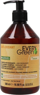 Shampoo Dikson Every Green Anti Oxidant