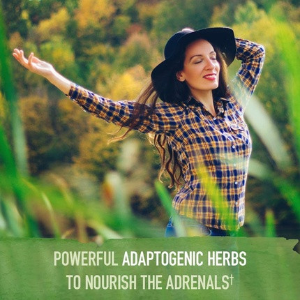 Tablets Garden Of Life MyKind Organics Adrenal Daily Balance