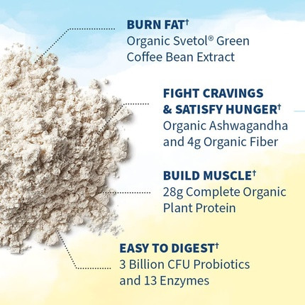 Protein Powder Garden Of Life Raw Organic Fit Vegan Protein Powder Vanilla