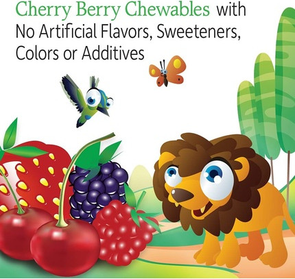 Chewable Multivitamin Garden Of Life Vitamin Code Kids