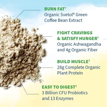 Vegan Protein Powder Garden Of Life Raw Organic Fit