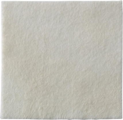 Coloplast Biatain Alginate Dressing