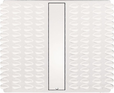 Nail Color Display Xanitalia