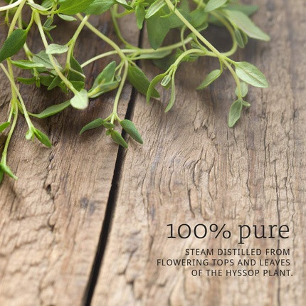 Essential Oil Now Foods