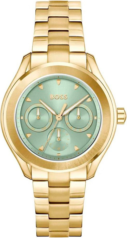 Watch Hugo Boss