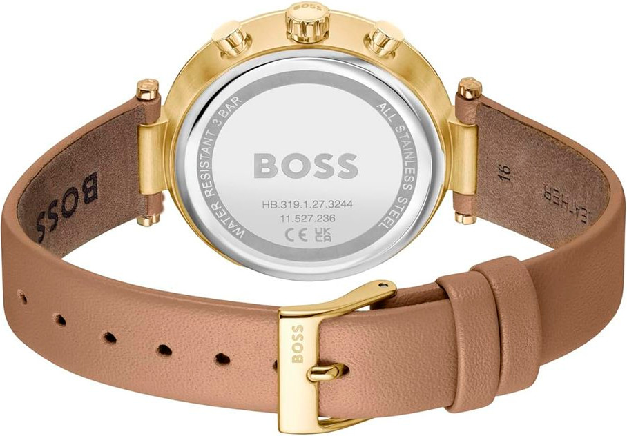 Watch Hugo Boss