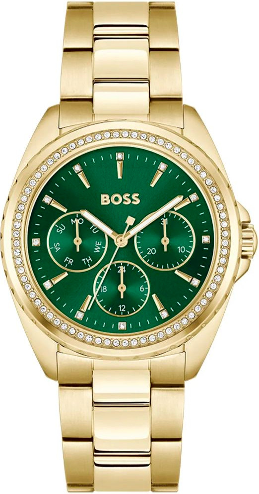 Watch Hugo Boss