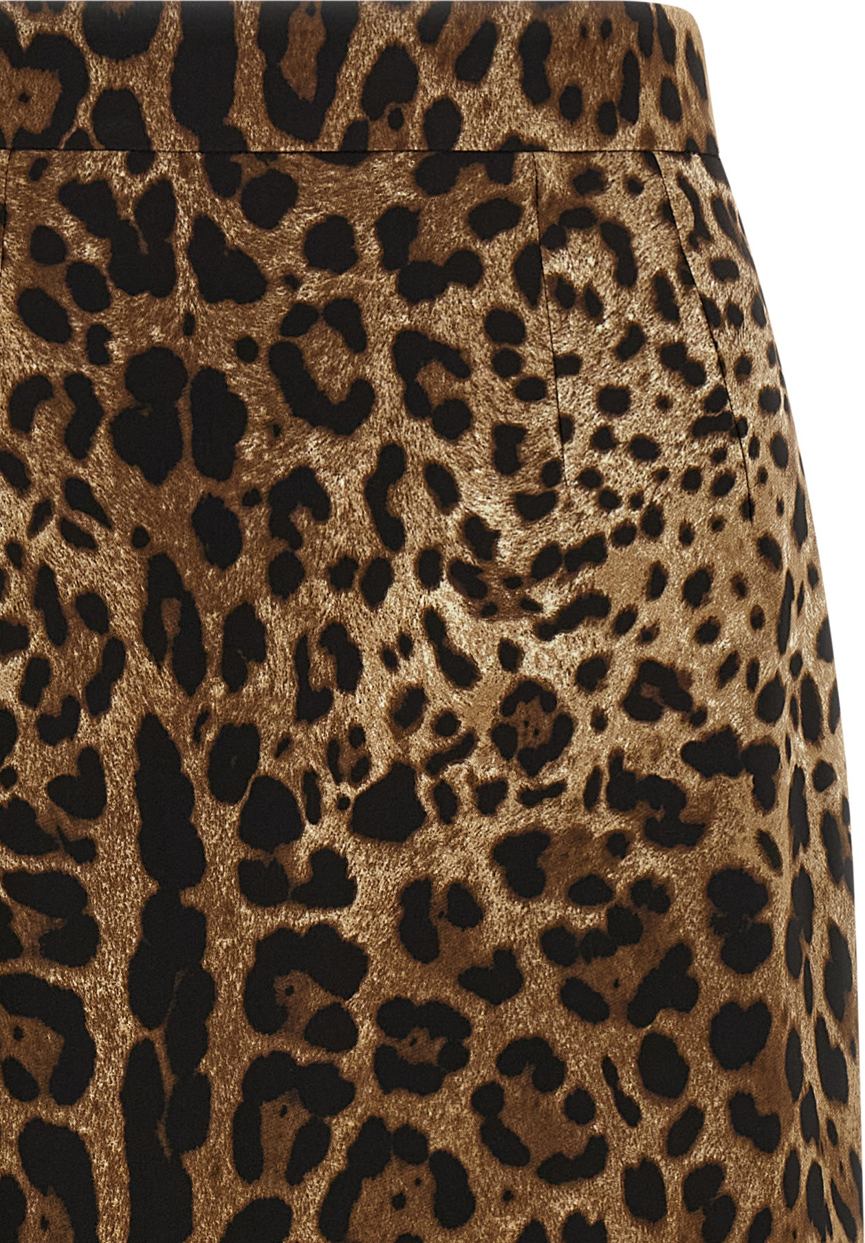 Skirt Dolce & Gabbana