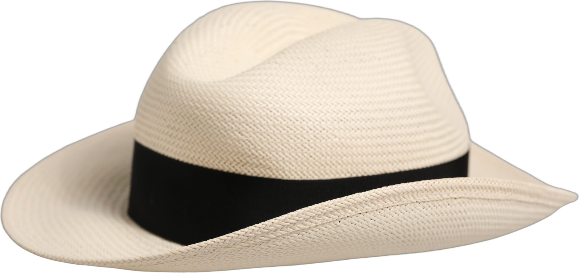 Fedora Hat Dolce & Gabbana Panama