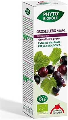 Extract Intersa Blackcurrant